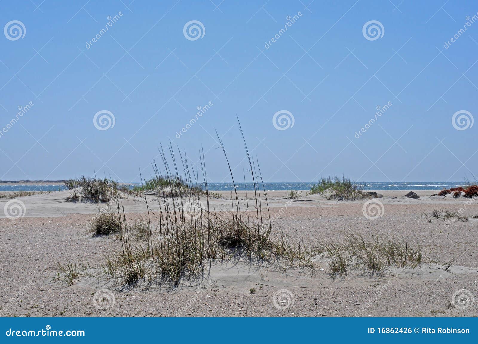 Vacant beach stock photo. Image of view, land, nature 16862426