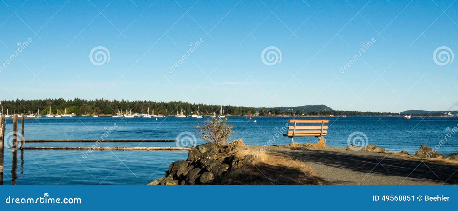 vacant bench on the harbor