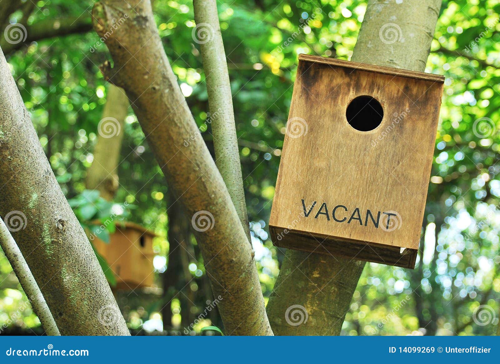 vacant bird house