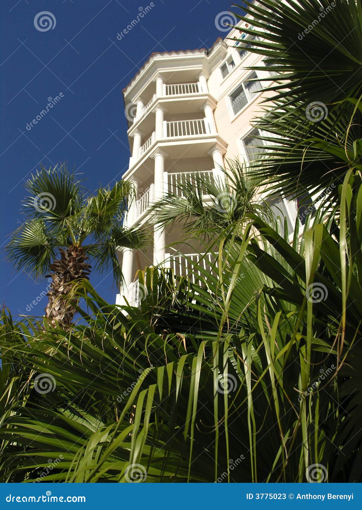 Vacation Resort Bldg Towers &amp; Palm 6. Vacation Resort Building Towers and Palm Tree