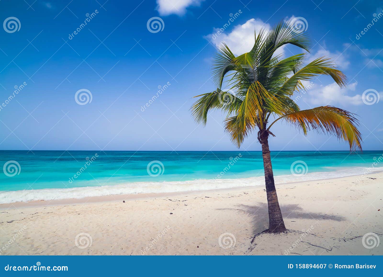 Sunny Tropical Exotic Caribbean Paradise Beach with White Sand, Azure ...