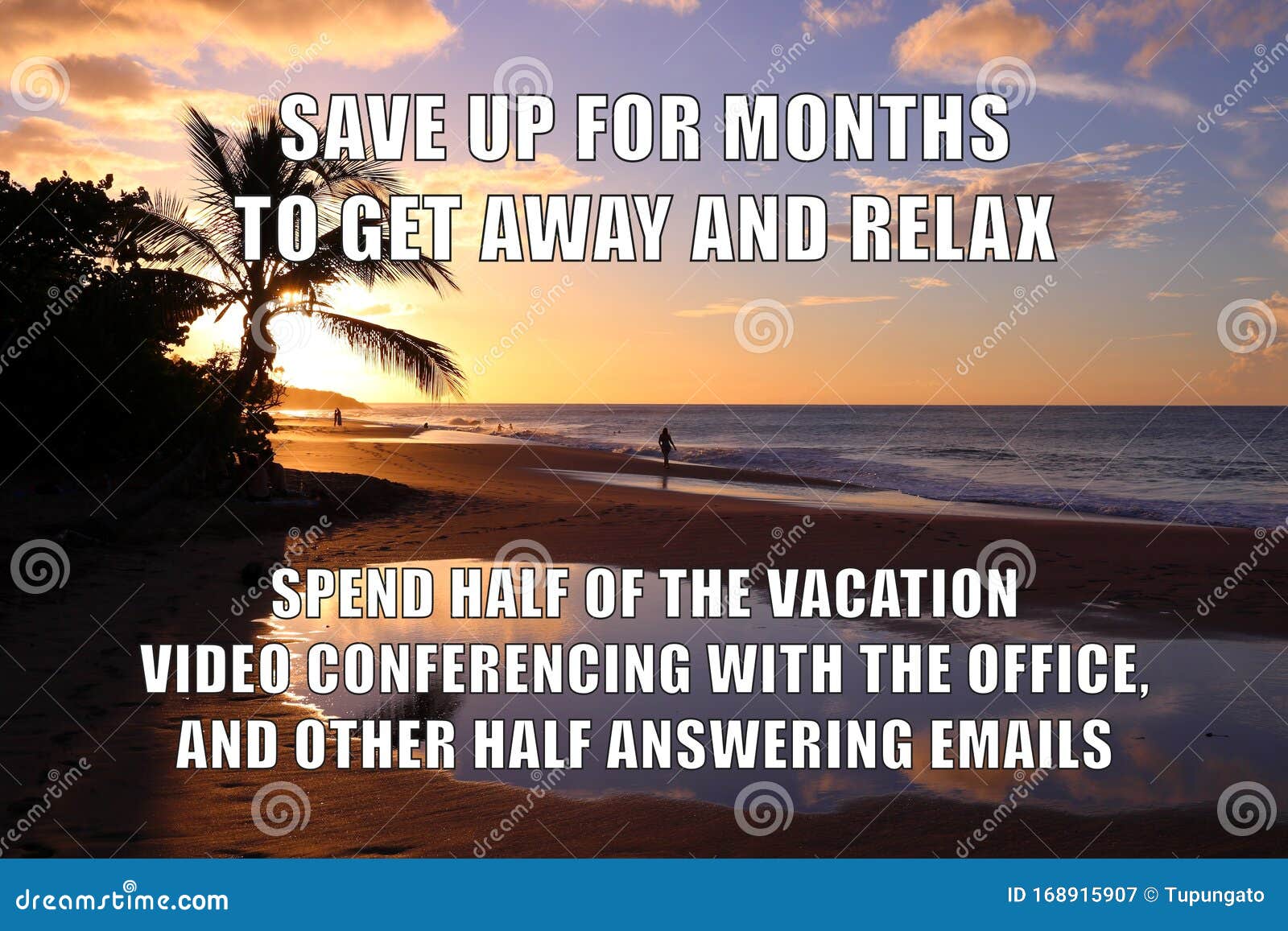Pin On Funny Quotes