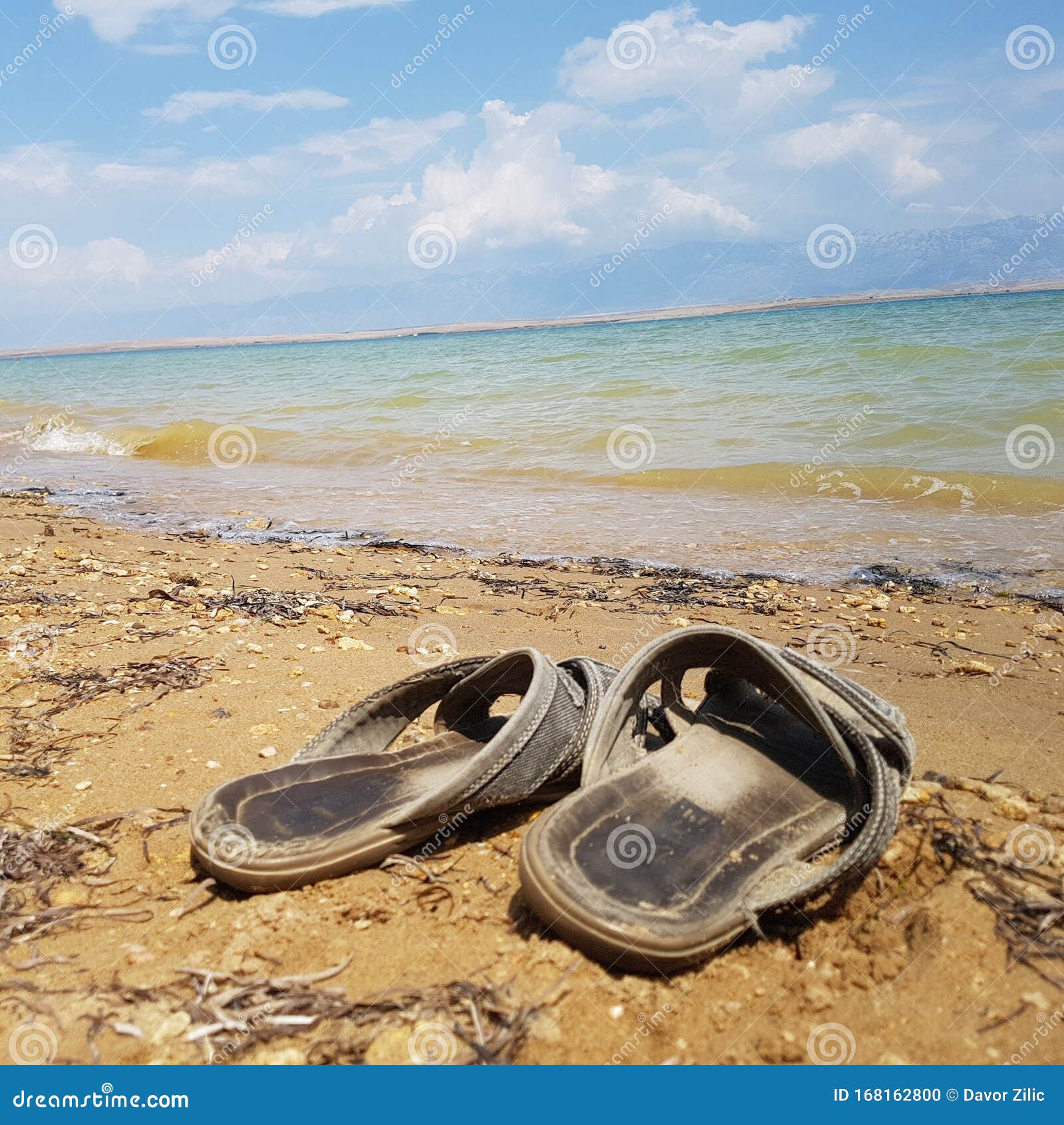 sea slippers