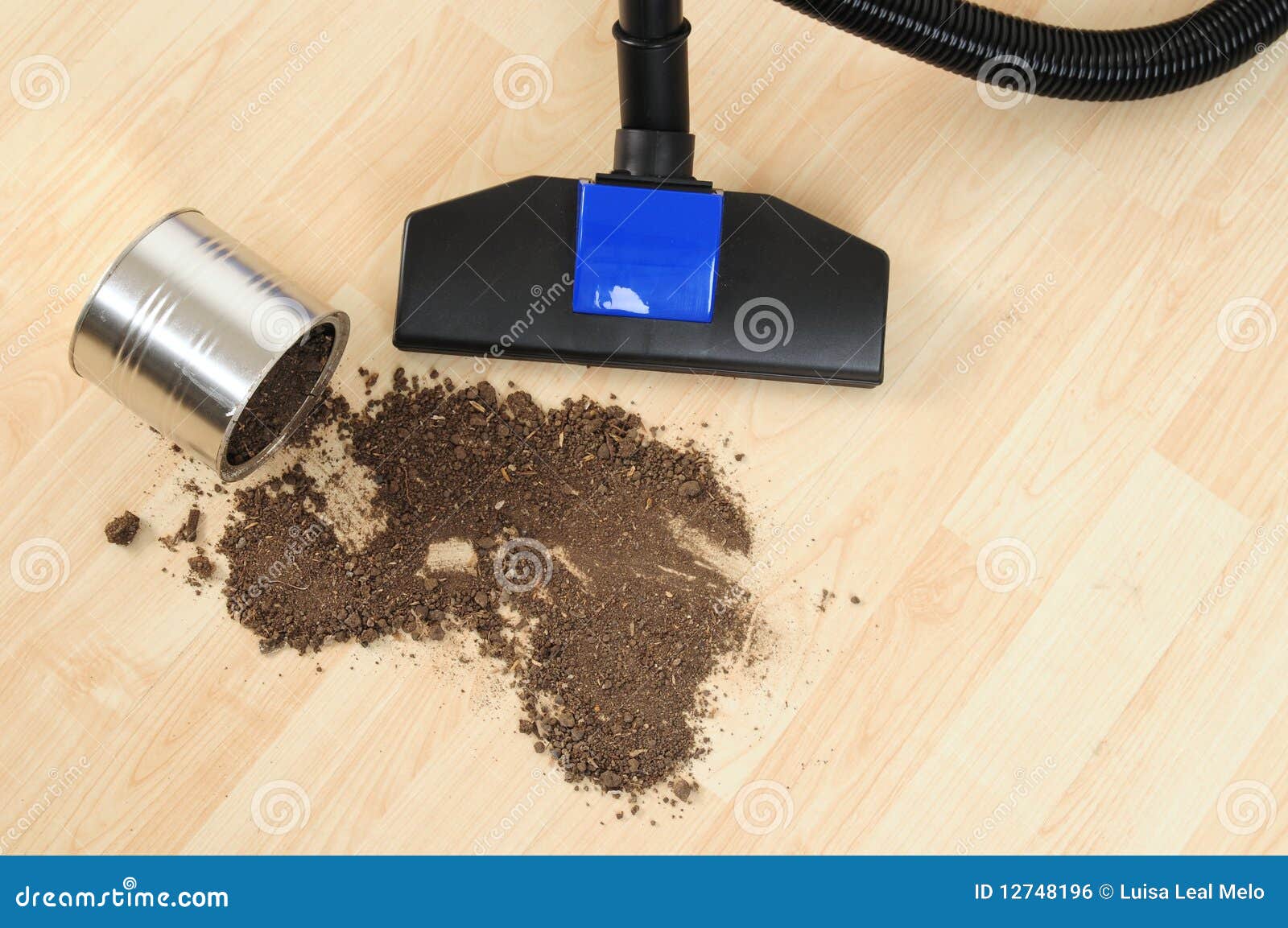 Vacuum cleaner. stock photo. Image of dirty, household 12748196