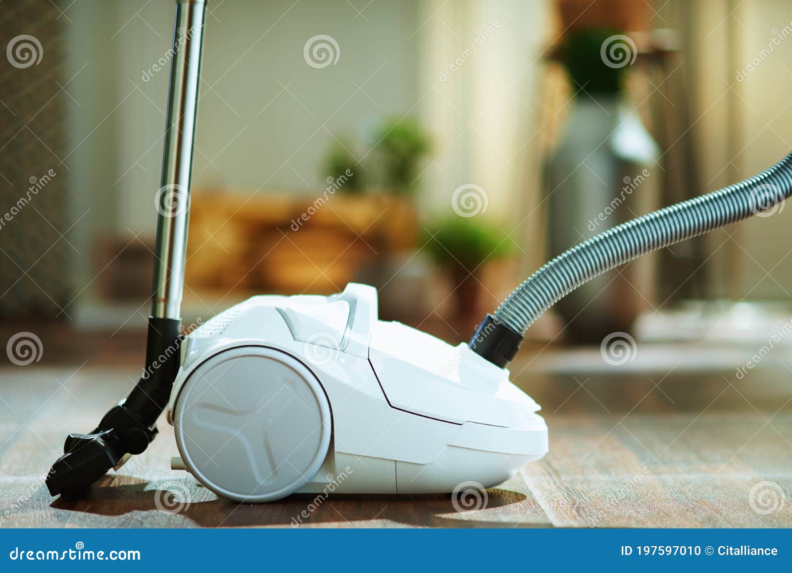 Vacuum Cleaner on Floor in Modern House Stock Photo Image of