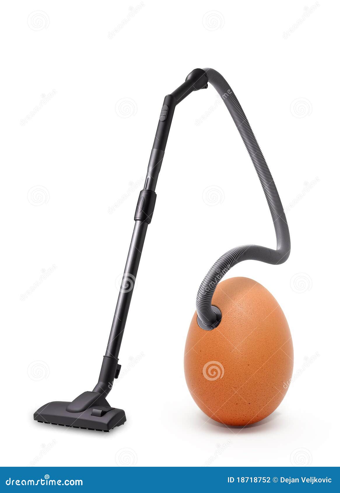 Vacuum egg stock photo. Image of chicken, machine, eggshell 18718752
