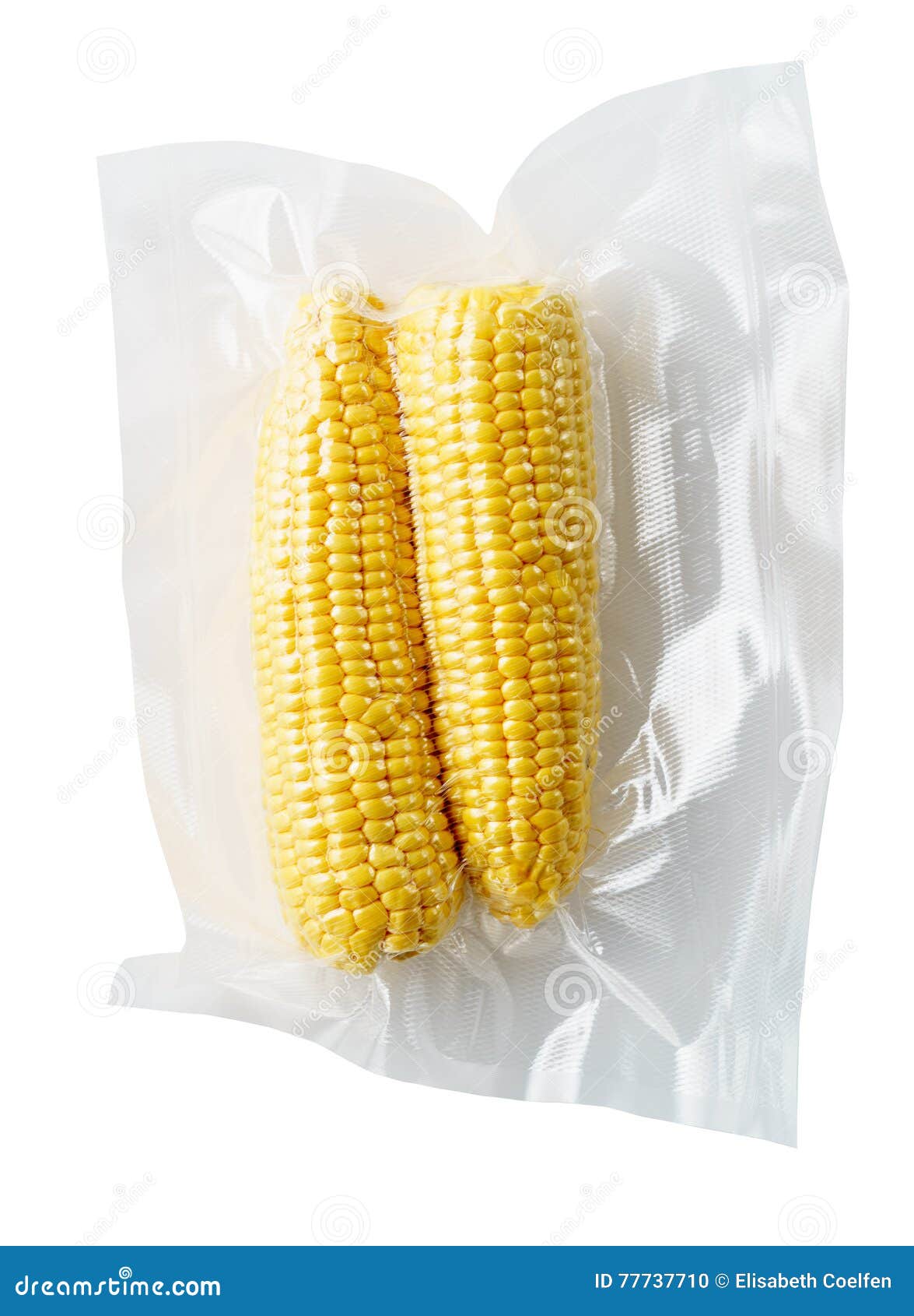 Vacuum sealed corncobs stock photo. Image of uncooked 77737710