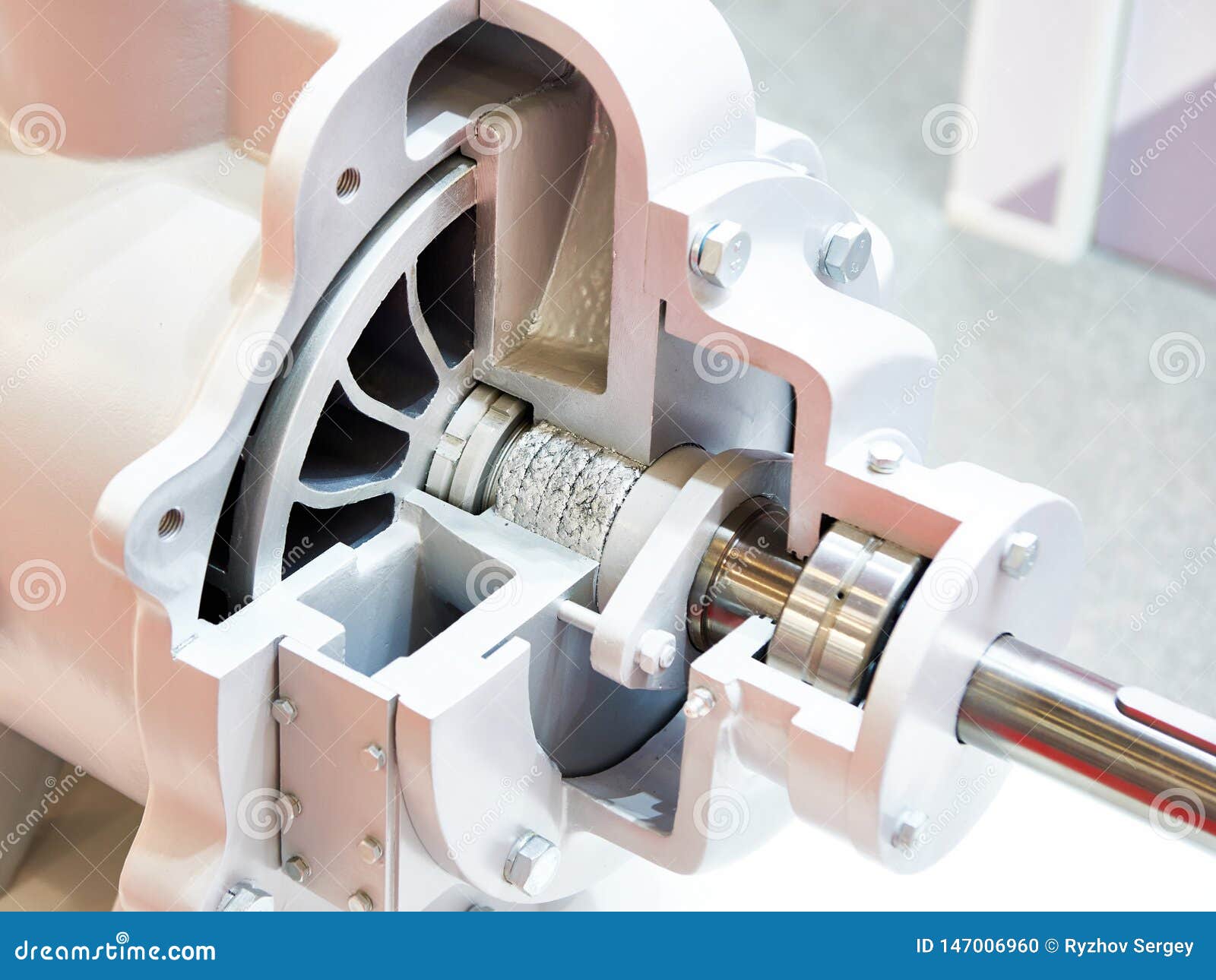 Vacuum Water Ring Pump in Section Stock Photo Image of vacuum, motor