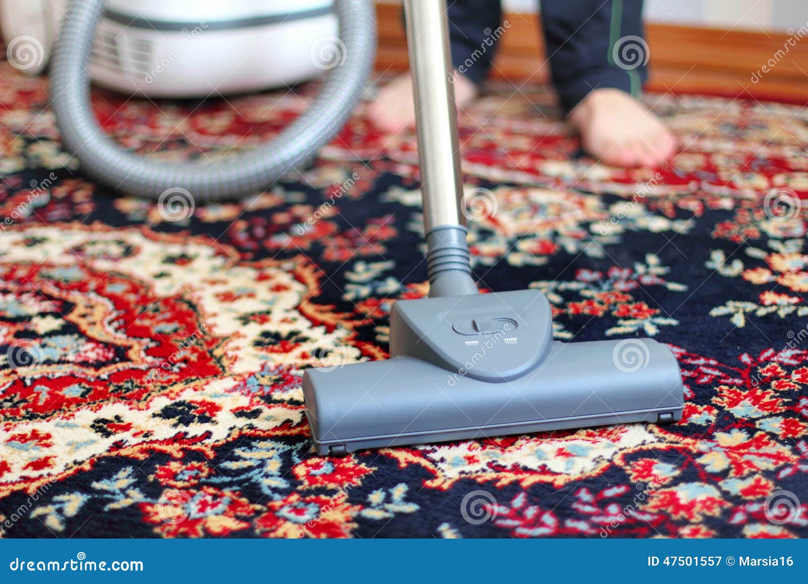 Vacuuming the carpet stock image. Image of dust, floral 47501557