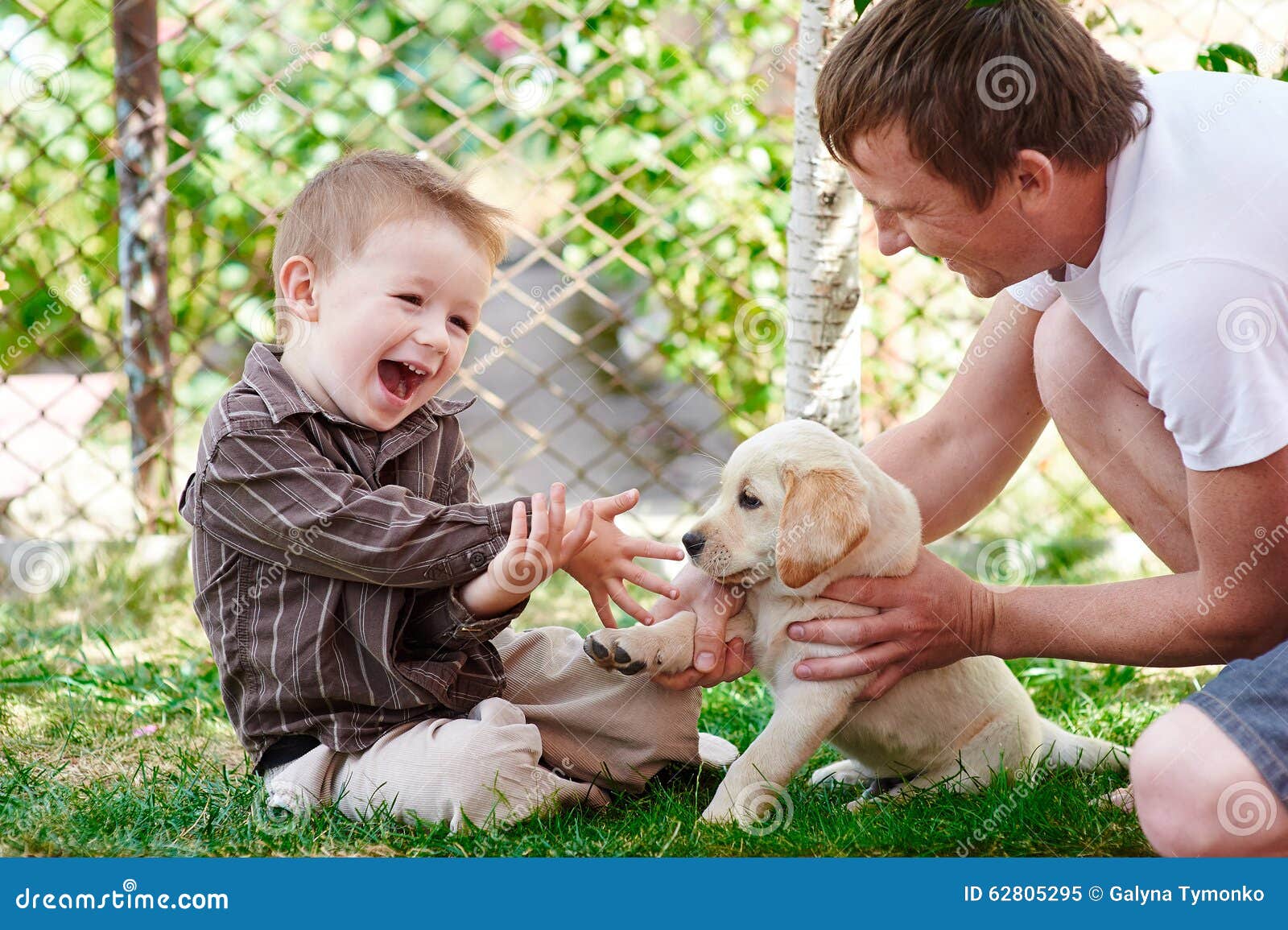 Vader En Zoons Het Spelen Met Een Puppy Van Labrador In De Tuin Stock ...
