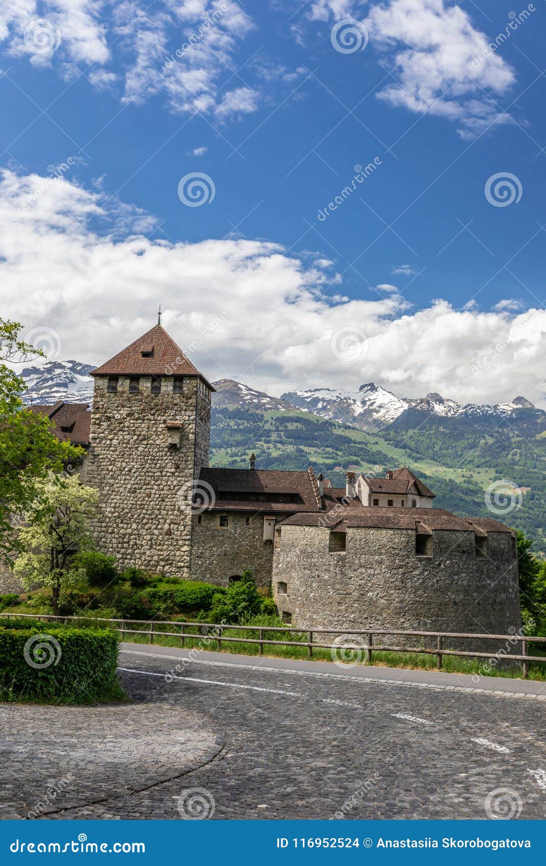 Vaduz Castle in the Alps, Liechtenstein. Stock Photo - Image of outdoor ...