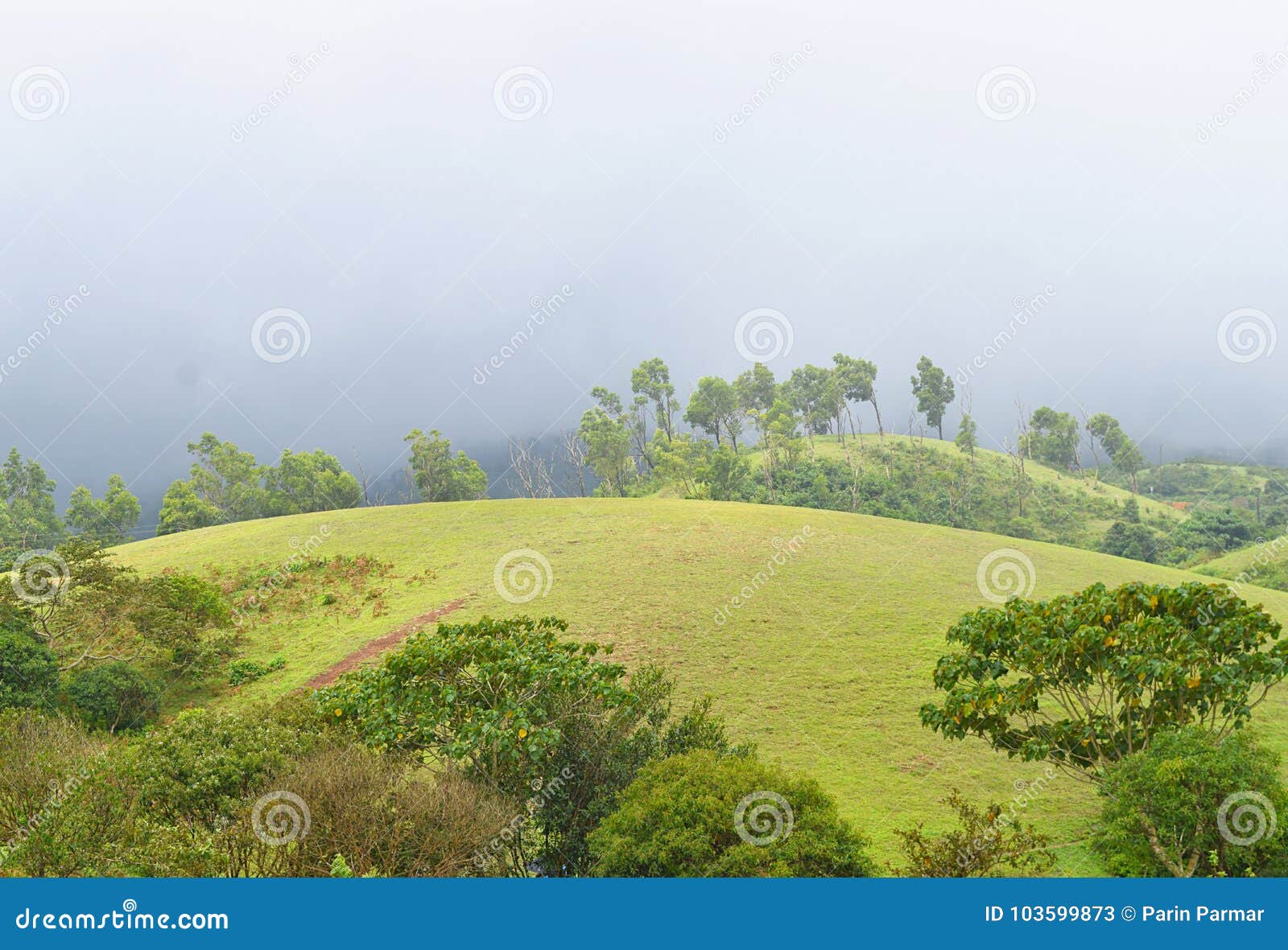 2,984 Green Hillock Stock Photos - Free & Royalty-Free Stock