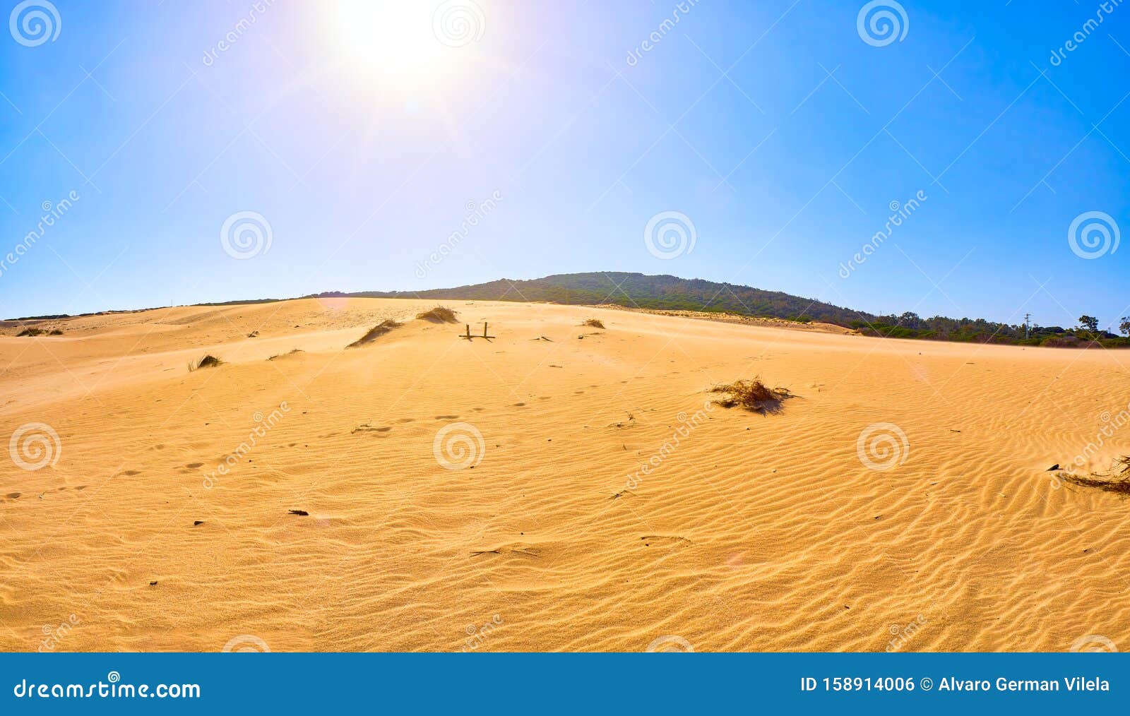 valdevaqueros dune. el estrecho natural park. tarifa, cadiz. andalusia, spain
