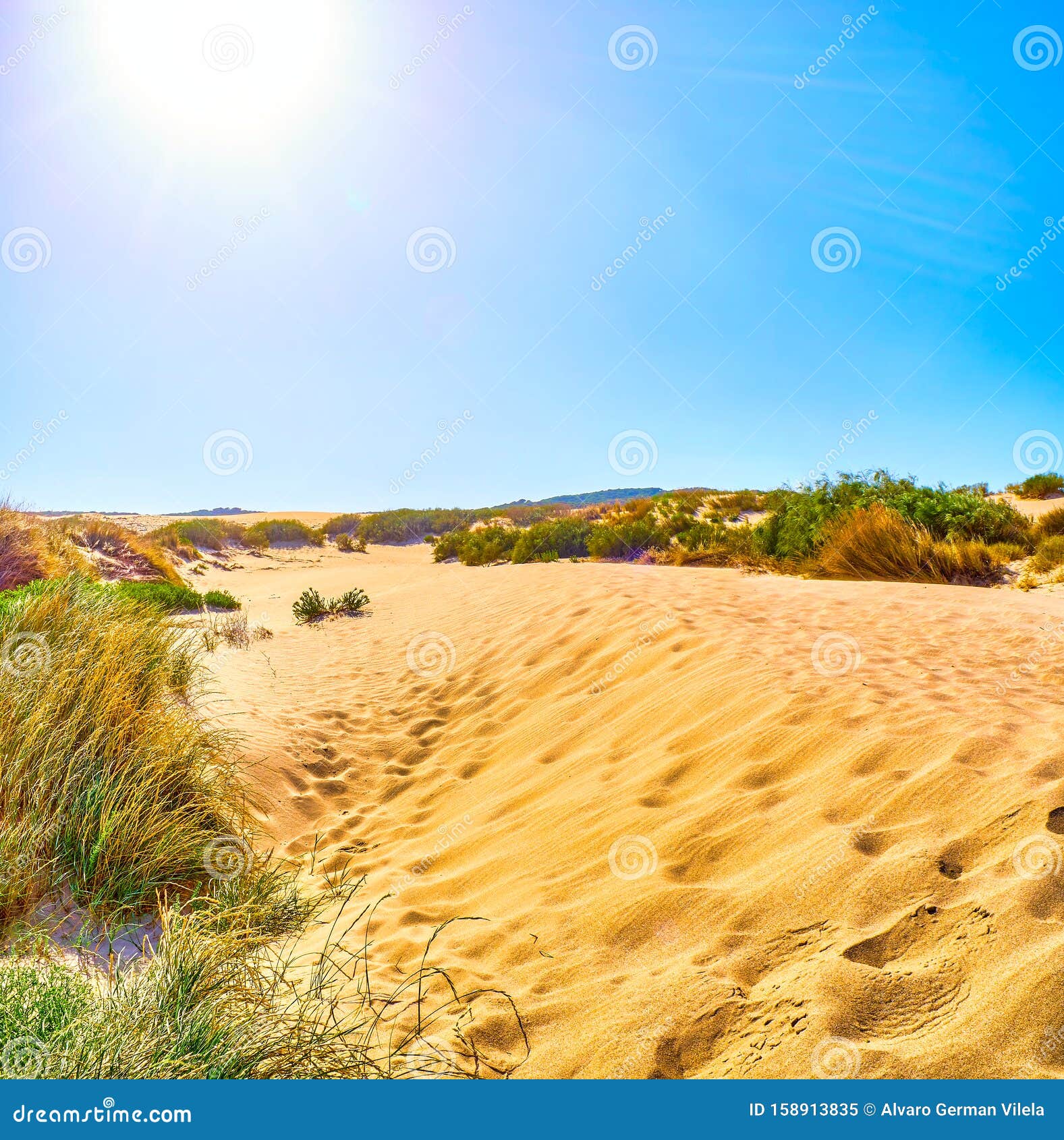 valdevaqueros dune. el estrecho natural park. tarifa, cadiz, spain