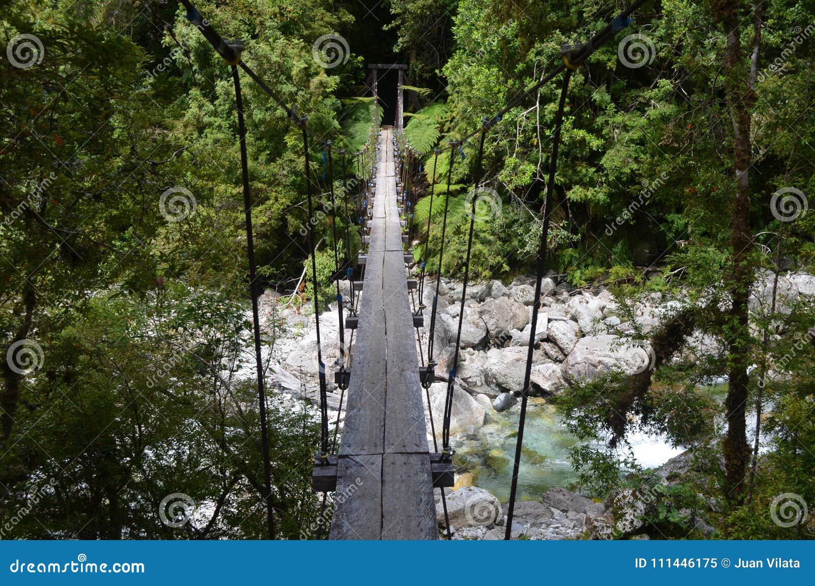 ecoregion of the valdivian temperate rainforests in southern chile chilean patagonia