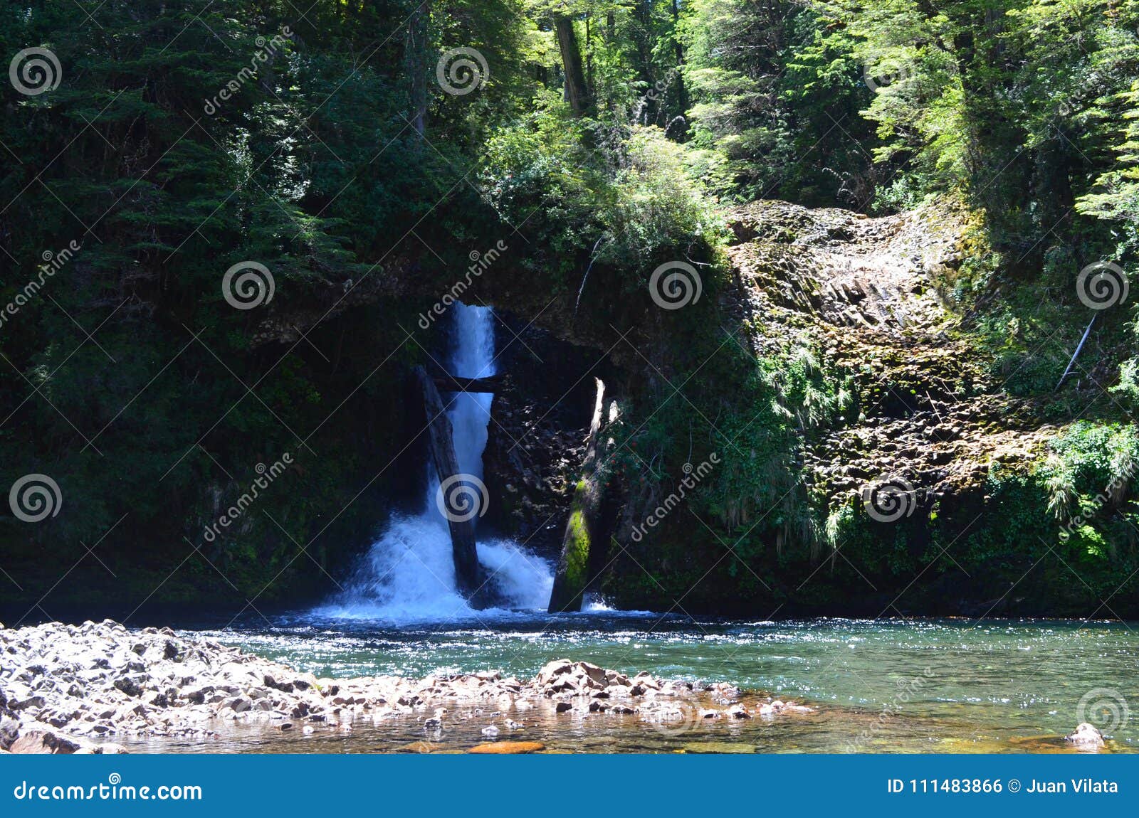 ecoregion of the valdivian temperate rainforests in southern chile chilean patagonia