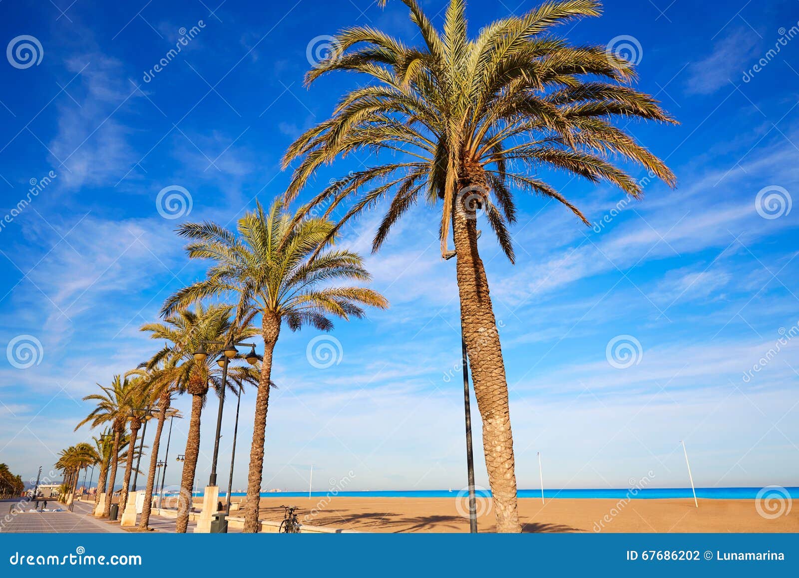 valencia la malvarrosa beach palm trees spain