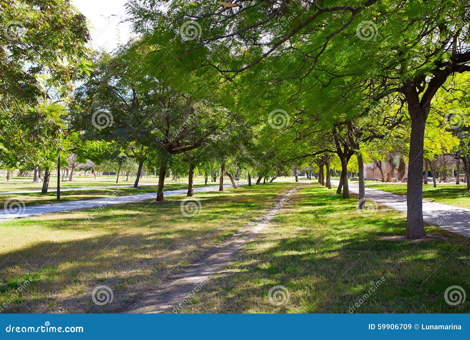 valencia turia river park trees and tracks spain