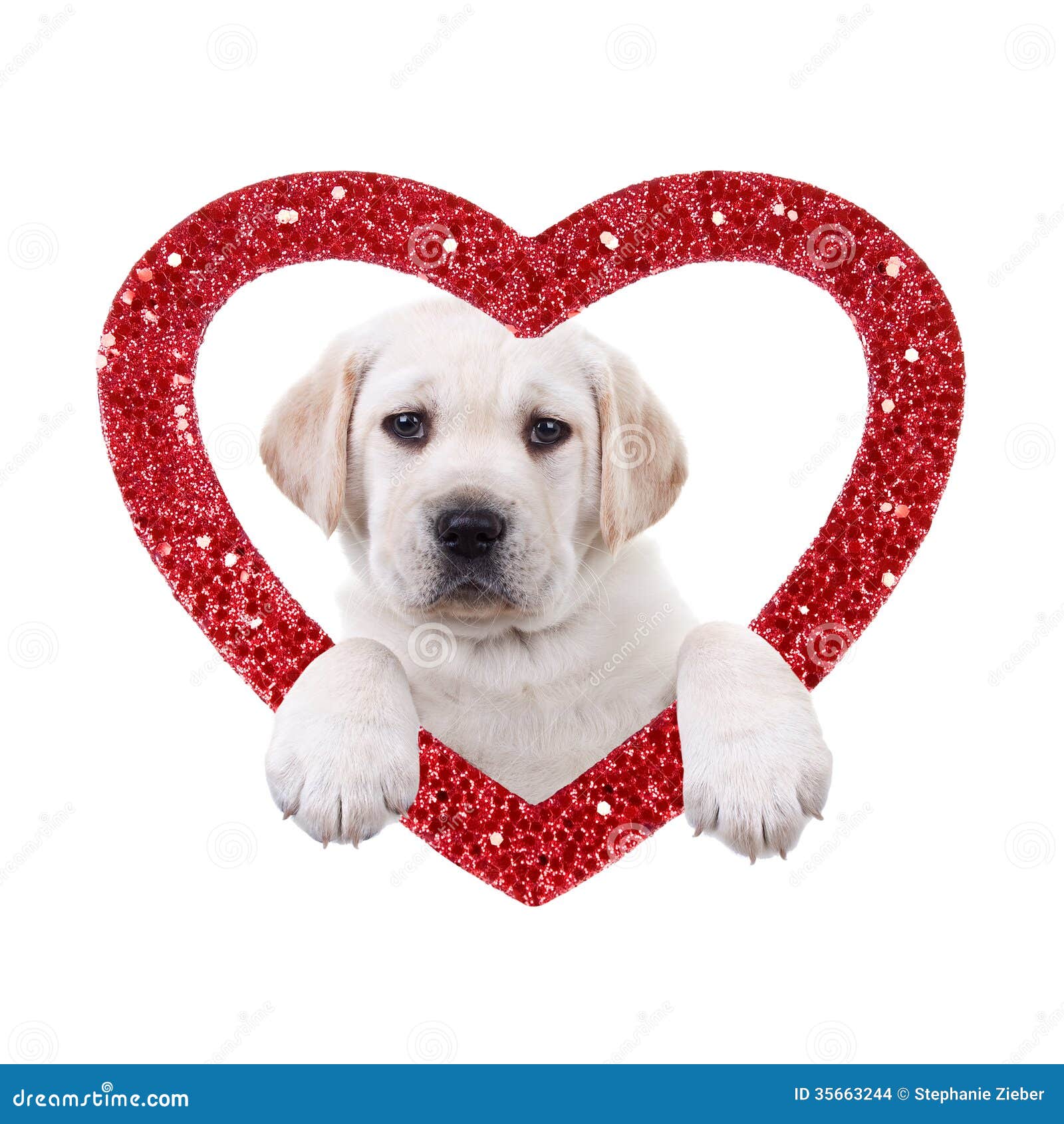 free dog valentine clipart - photo #9