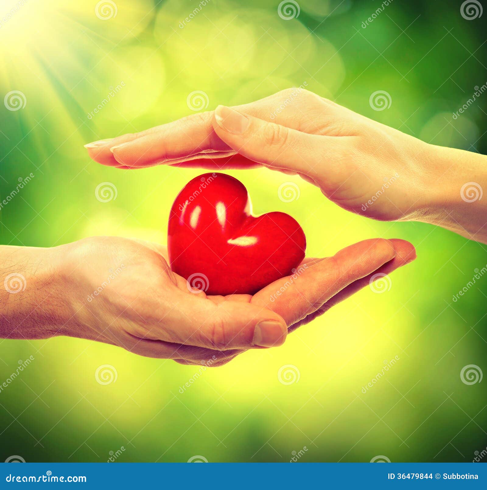 Valentine Heart stock photo. Image of girl, finger, background ...