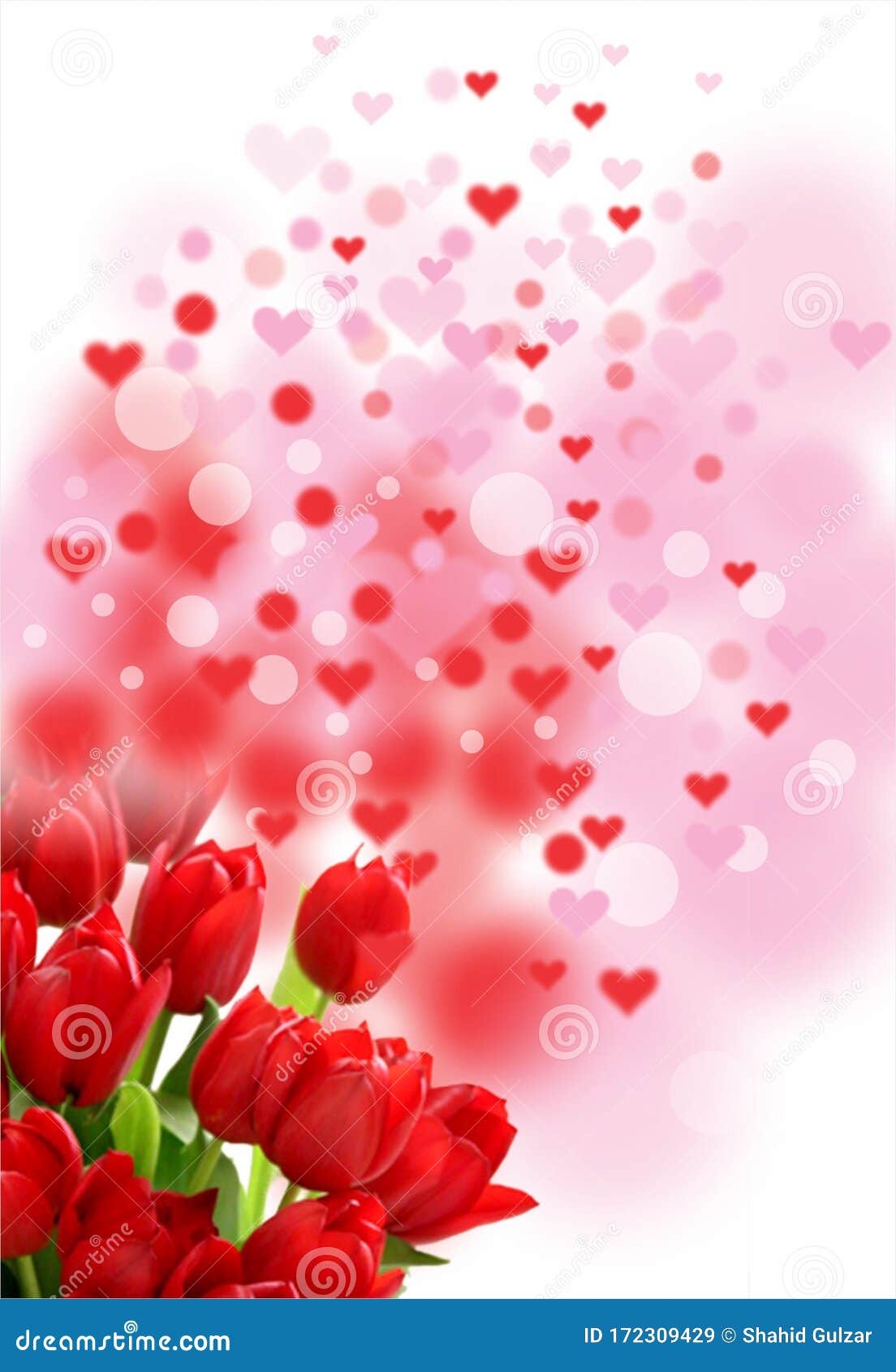 Thẻ tình yêu Valentine hoa tulip đỏ, trái tim hồng - Tặng người mình yêu một món quà đặc biệt và ý nghĩa với thẻ tình yêu Valentine hoa tulip đỏ, trái tim hồng. Những bông hoa tulip thể hiện tình yêu và sự tươi vui, còn trái tim hồng bày tỏ sự chân thành và sự ấm áp. Chắc chắn đây sẽ là món quà ngọt ngào và đầy ý nghĩa!
