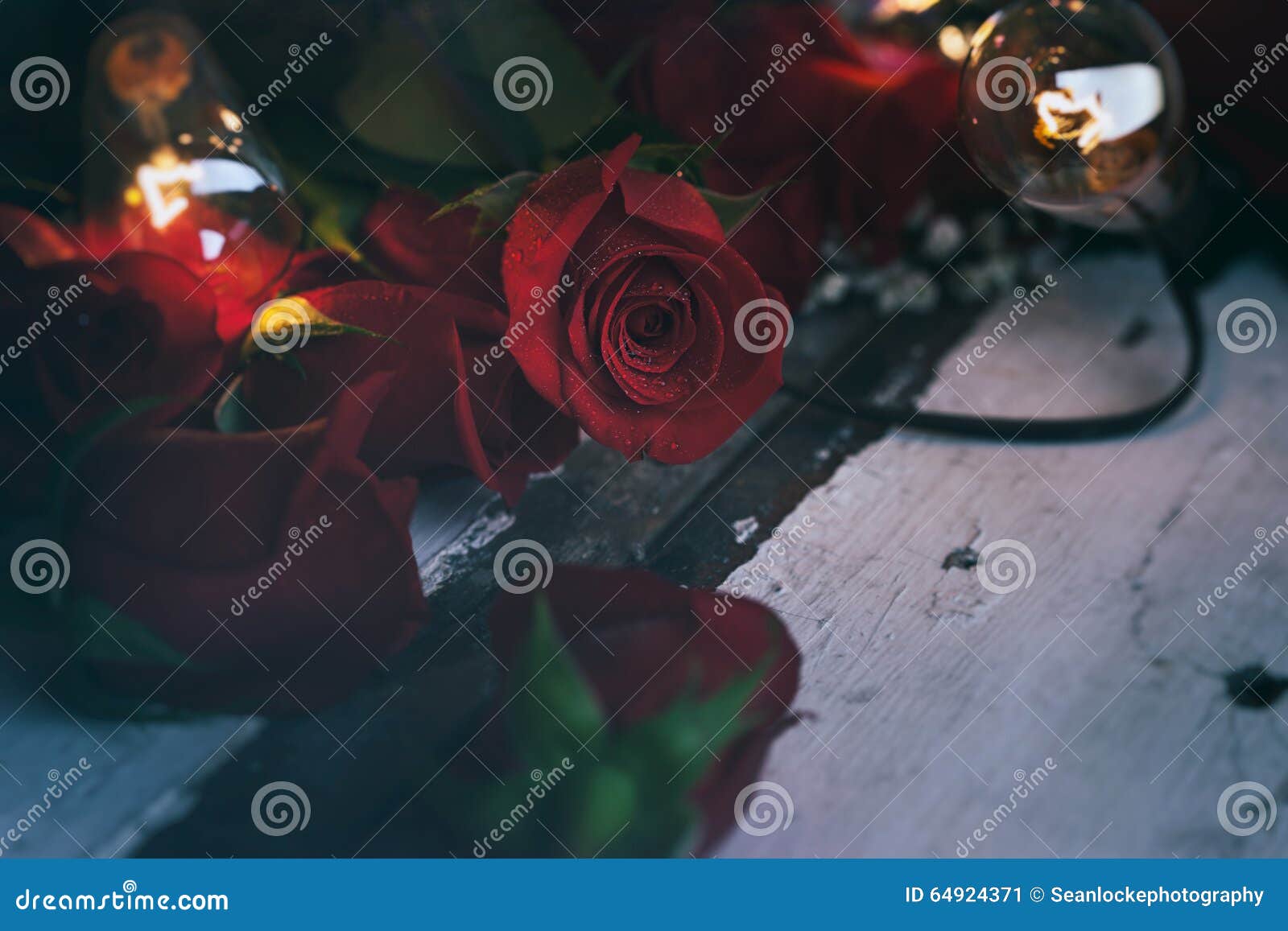 Valentine Moody Close Up Of Rosebud With Retro Lights Stock Image