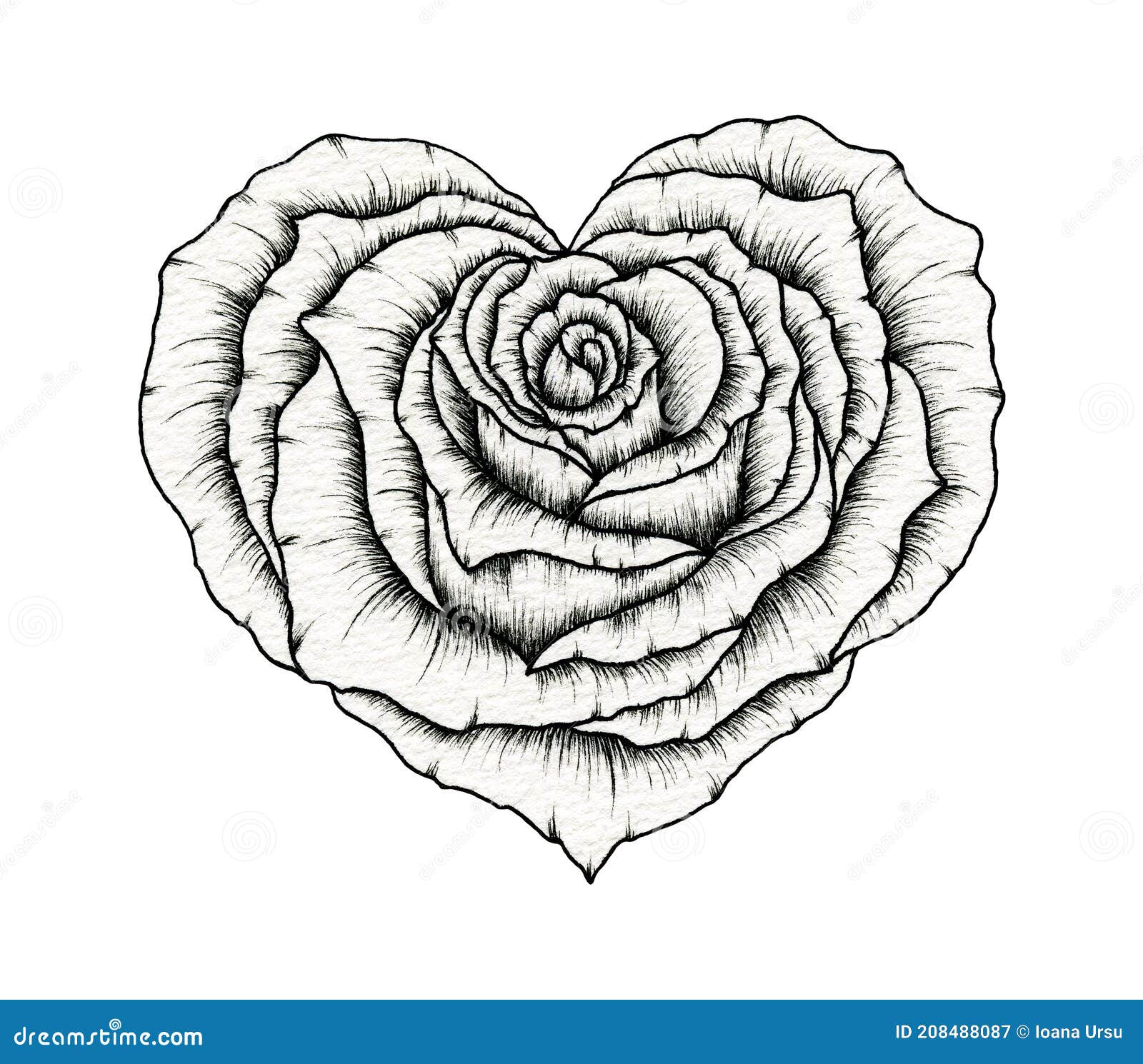 Roses Drawings With Hearts