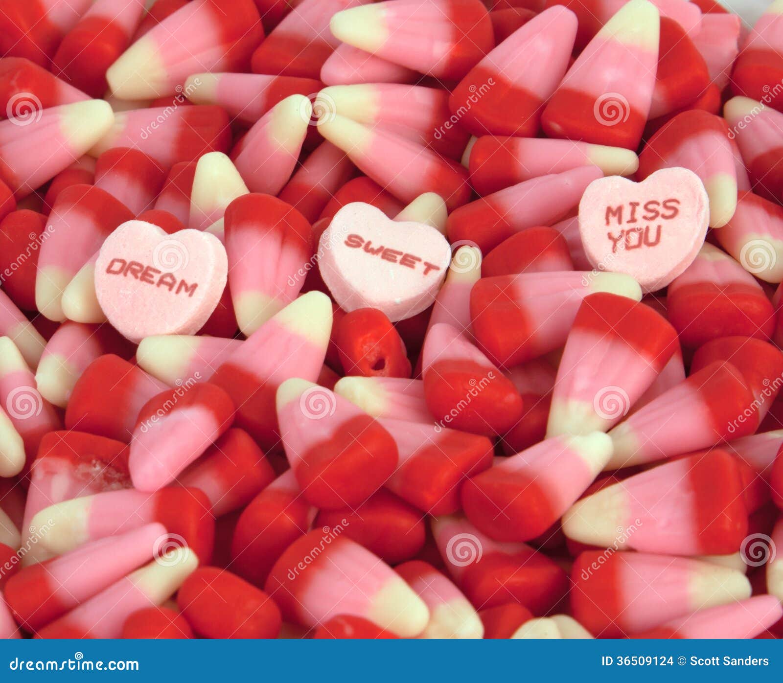 Valentine s Candy stock photo. Image of food, pink, hearts - 36509124