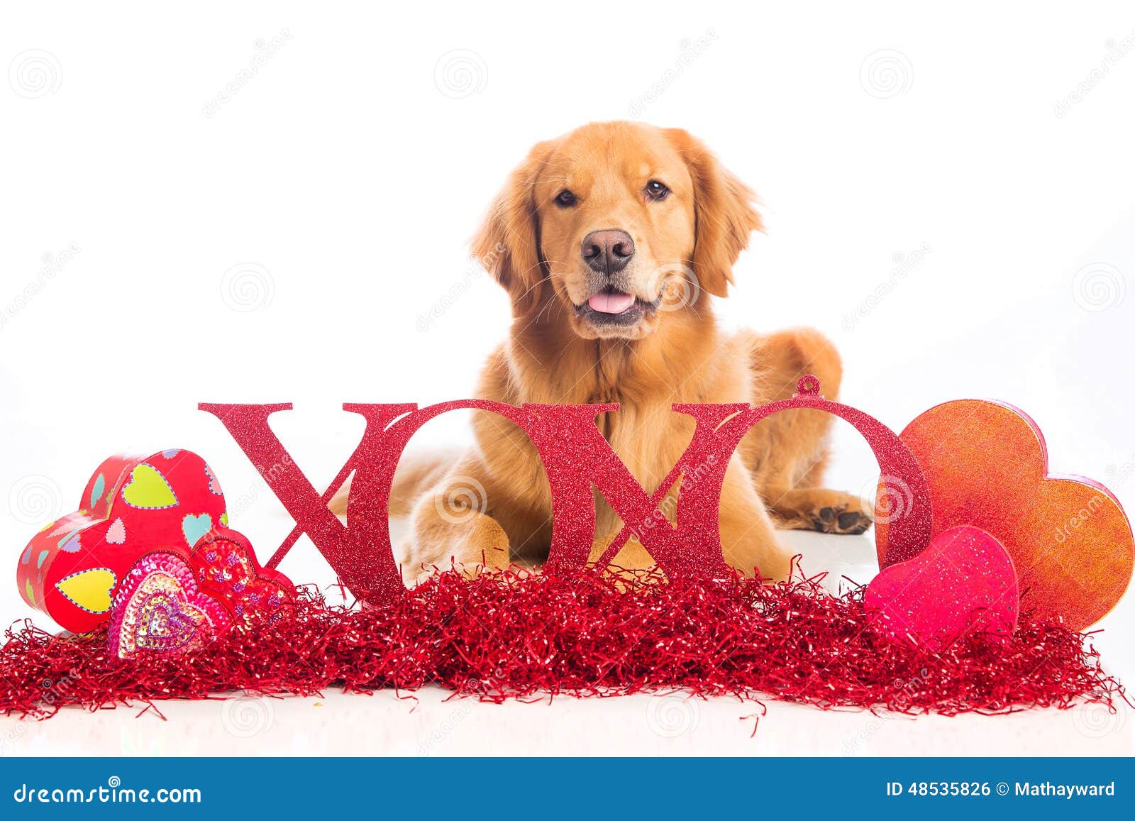 free dog valentine clipart - photo #33
