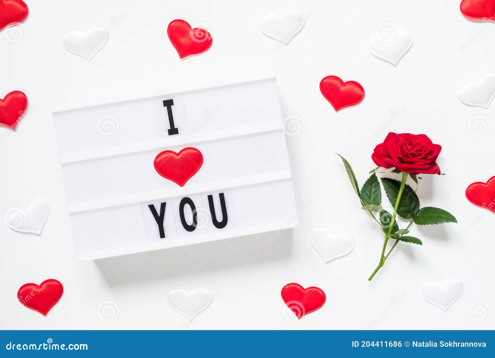 Valentine`s Day, Love, Romantic Concept. Fresh Red Rose Flower ...
