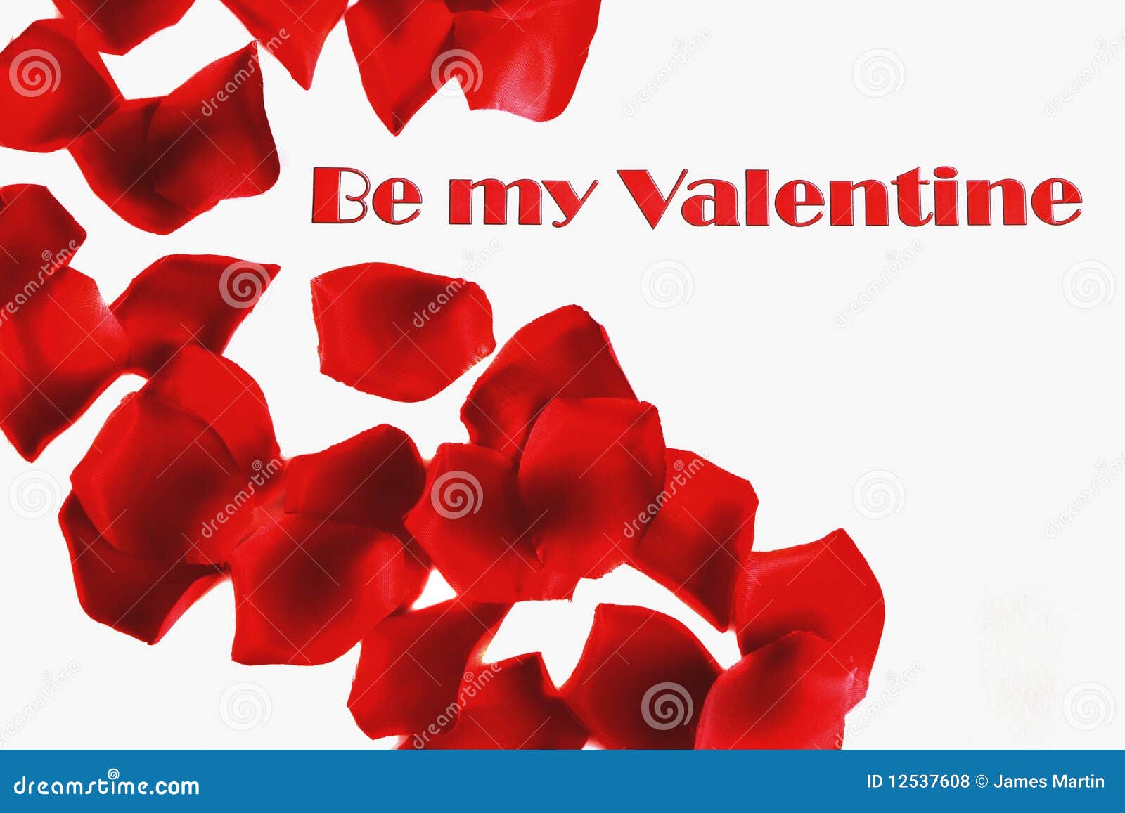 Valentine S Day Rose Petals and Copy Space Stock Photo Image of