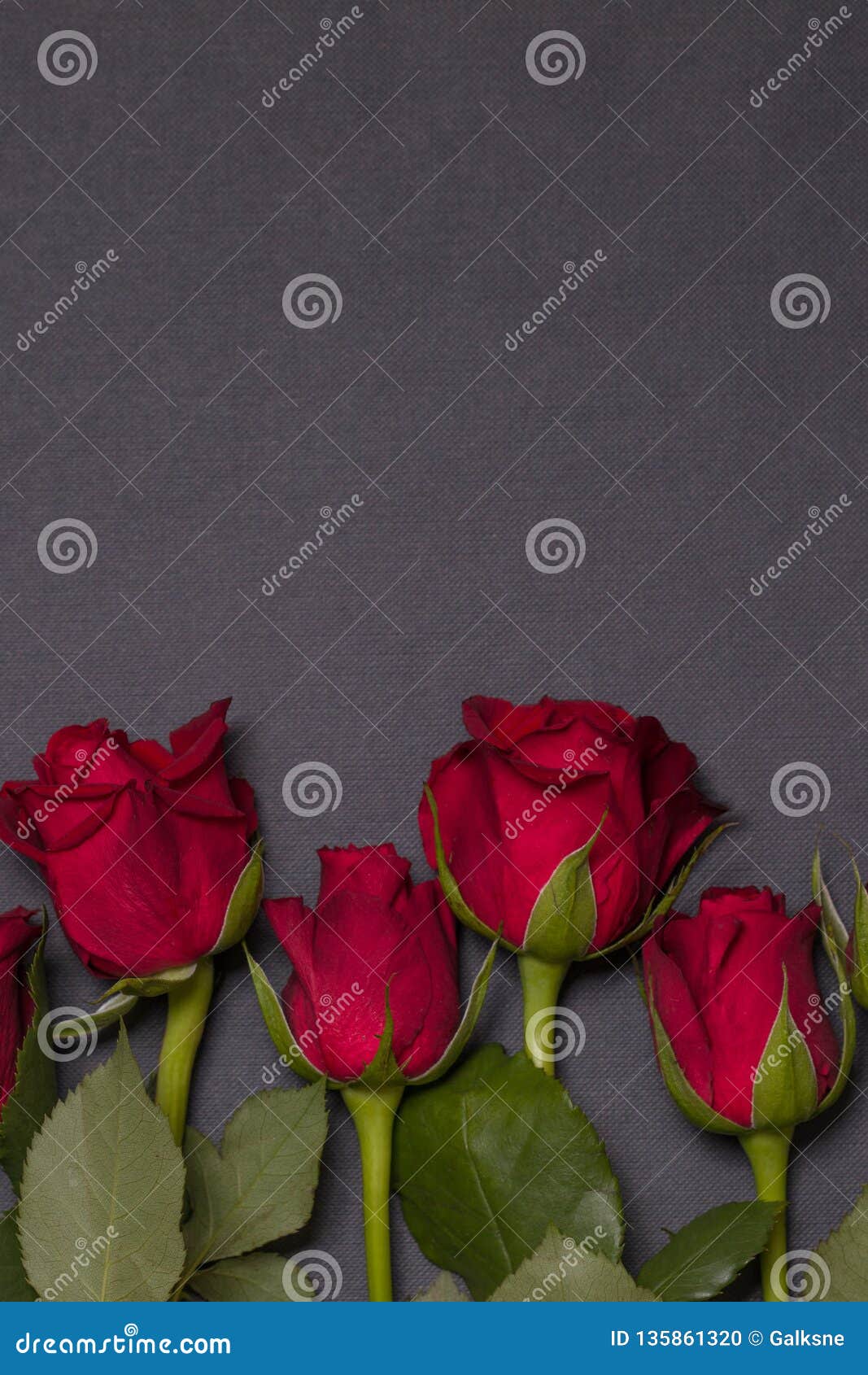 Valentines Day Background, Seamless Black Background with Red Rose ...