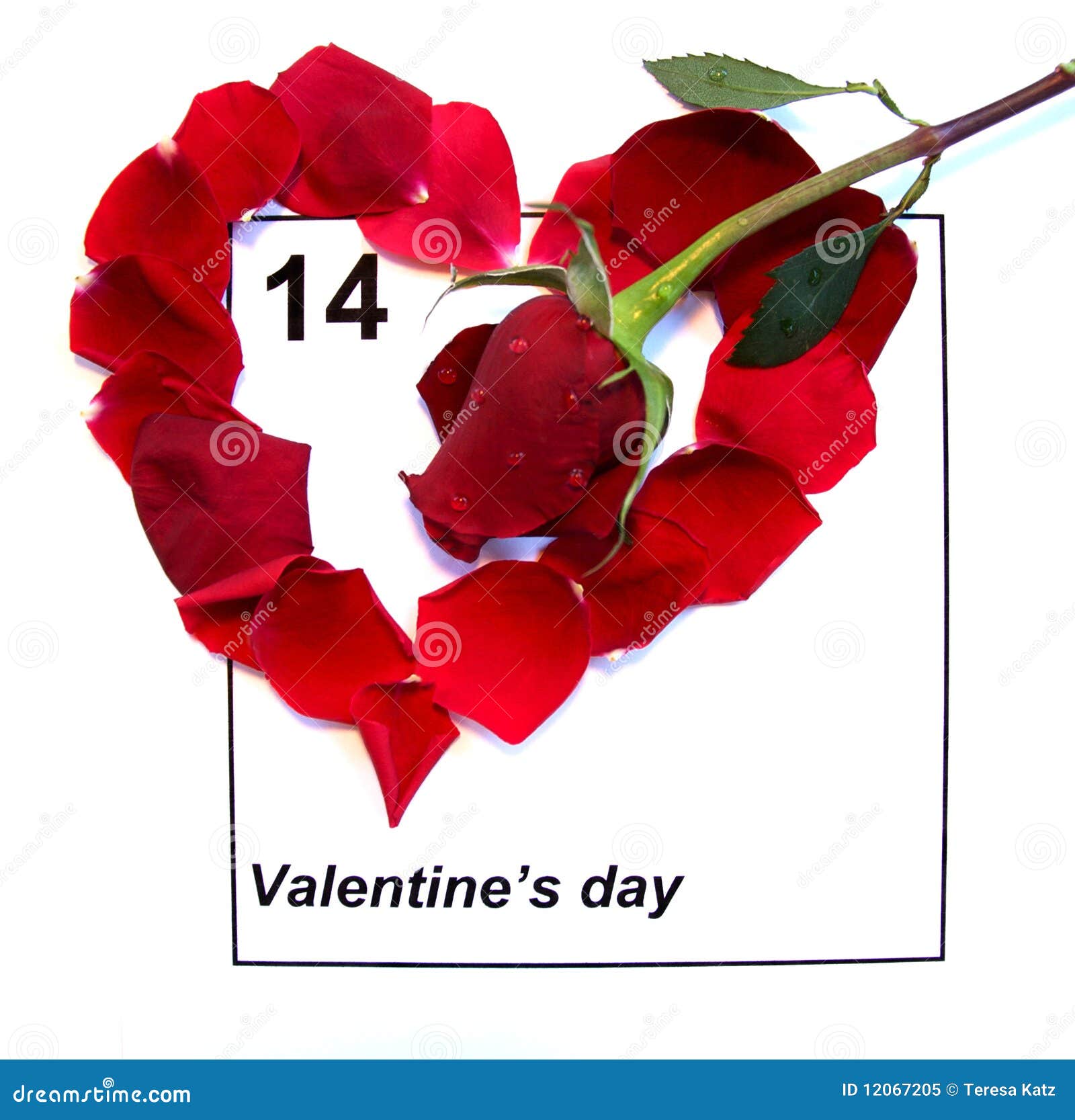Valentines Day Calendar With Red Rose Stock Image - Image of flower, marria...