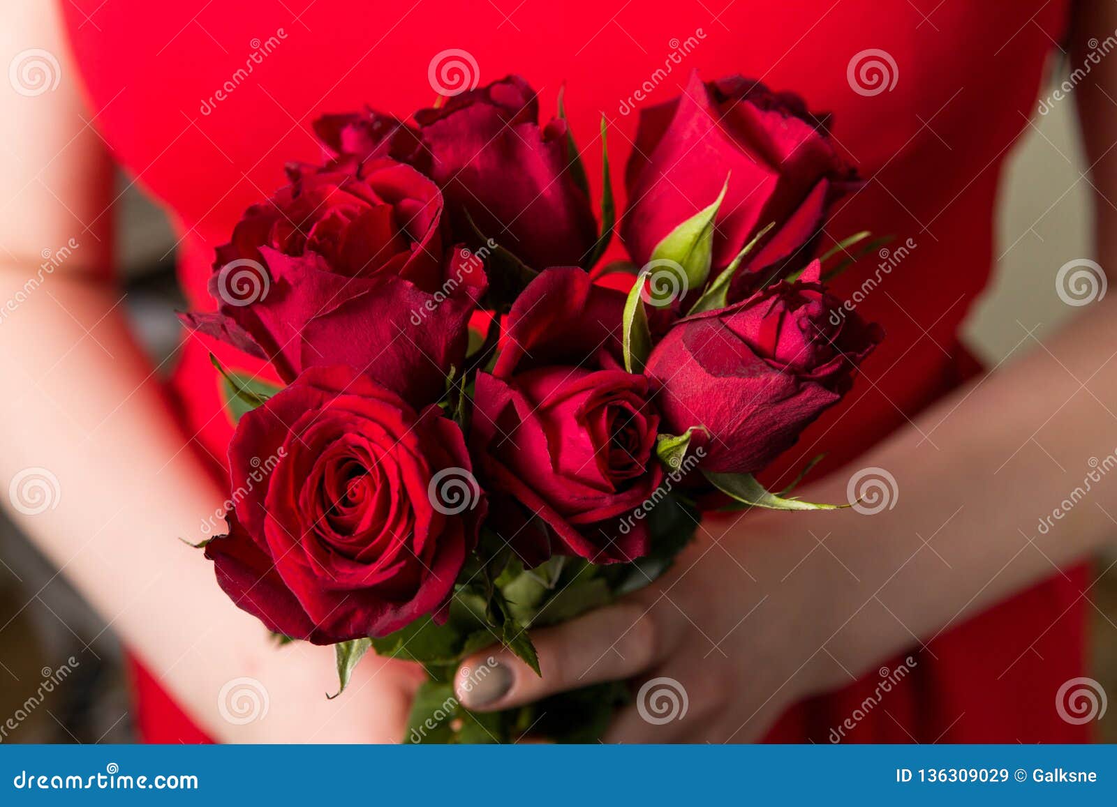 Beautiful Woman Holding Red Rose Bouquet, Romantic Valentines Day ...