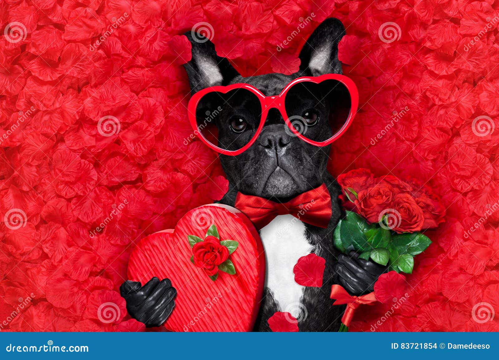 French Bulldog Dog Valentines Day Rose I Bolsas Y Estuches 