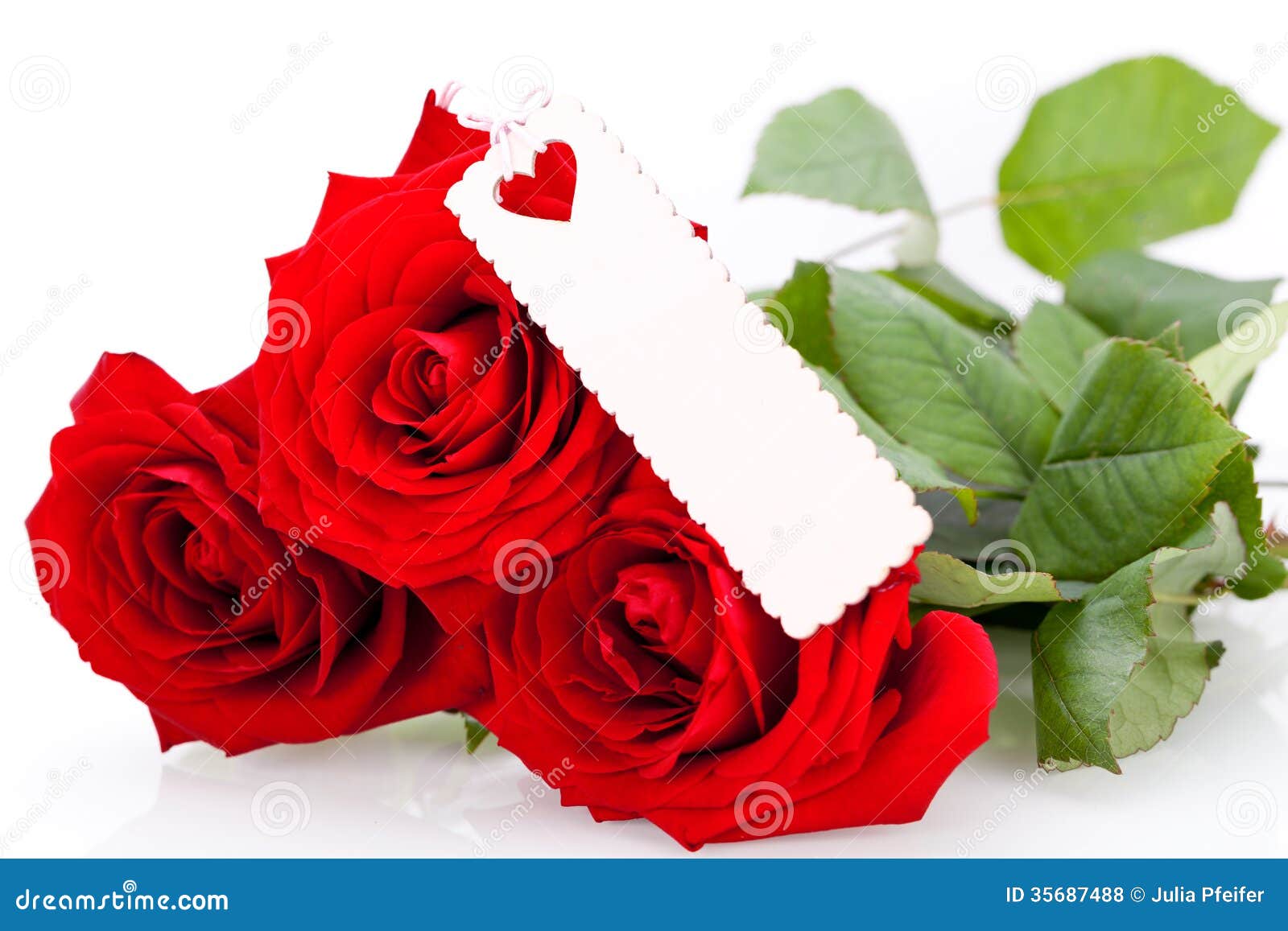 Valentines gift of beautiful red roses. Valentines or anniversary gift of a  bunch of beautiful fragrant red roses for love