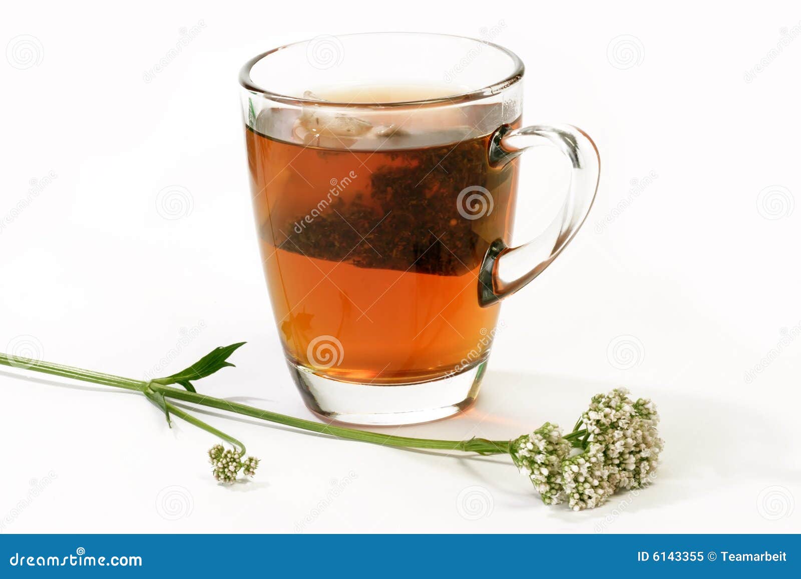 Valerian Tea stock image. Image of plant, sleep, lifestyle 6143355