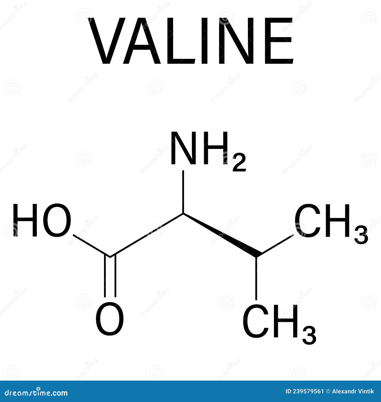 Valine or Lvaline, Val, V, Amino Acid Molecule. Skeletal Formula Stock