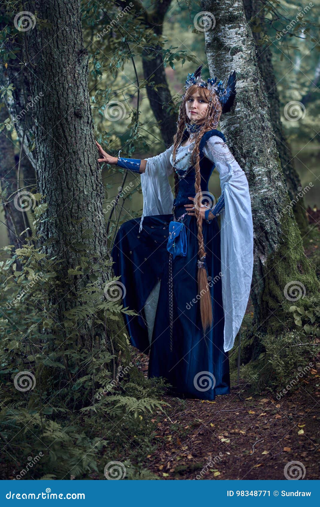 134 Shield Maiden Stock Photos - Free & Royalty-Free Stock Photos from Dreamstime
