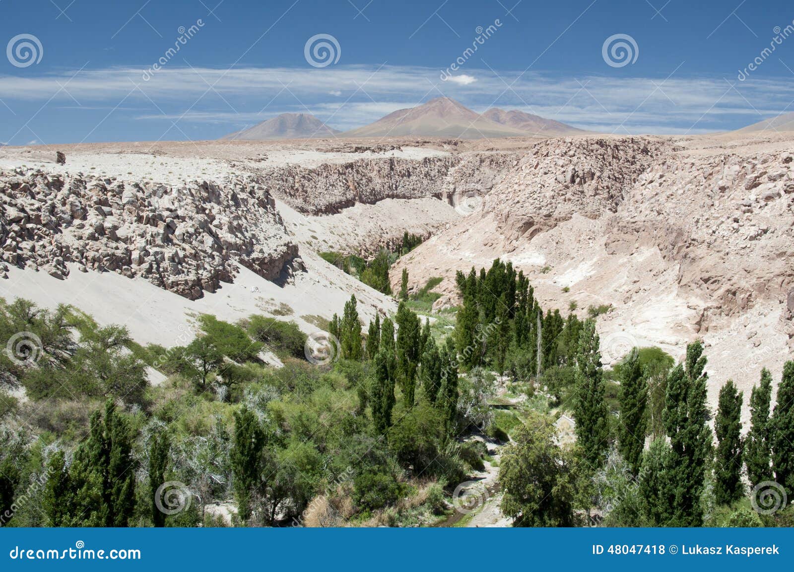 valle de jerez, atacama, chile