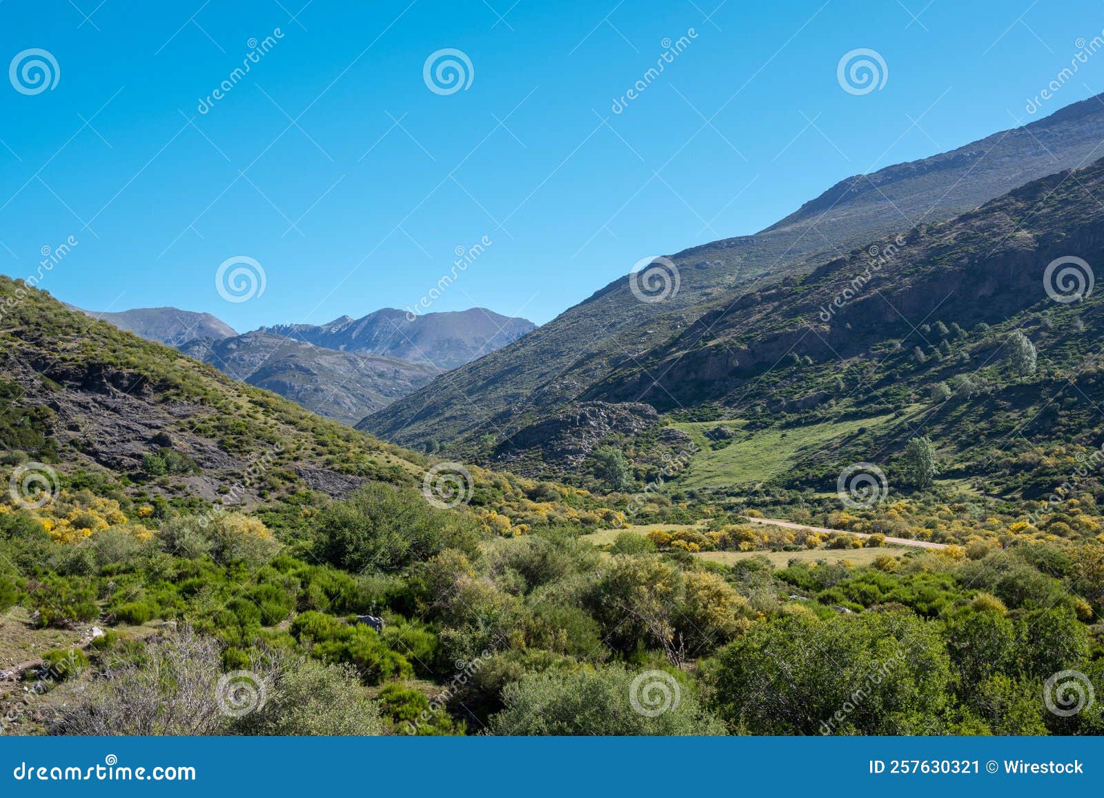 valle del arroyo de mazobre en el parque natural de la montaÃÆÃÂ±a