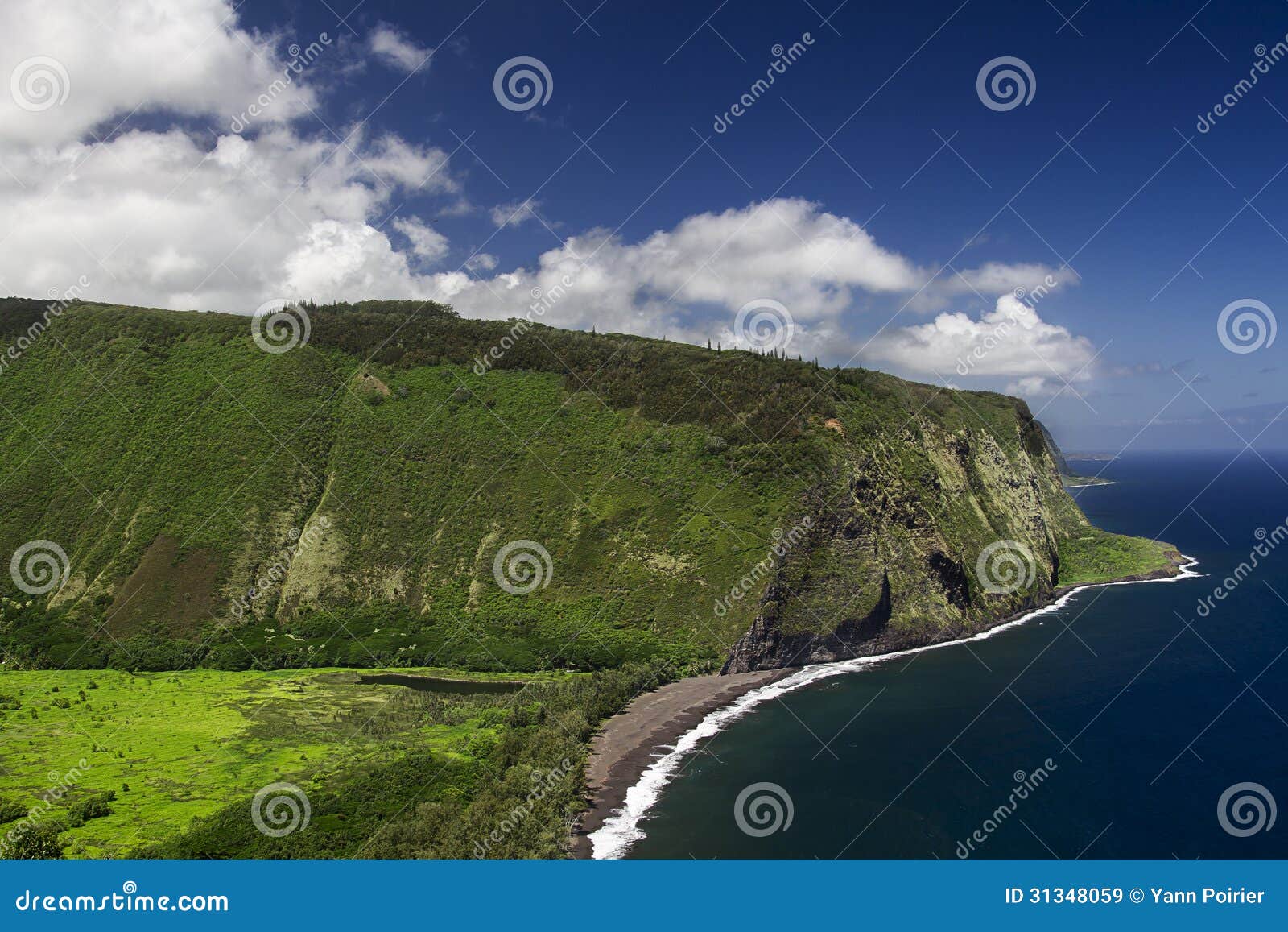 Valle di Waipio immagine stock. Immagine di attrazione 31348059