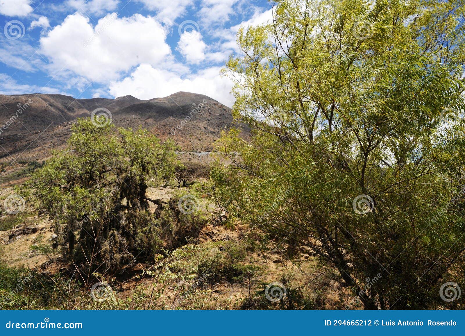 valley with bushes and trees captus mountains yunga fuvial peru