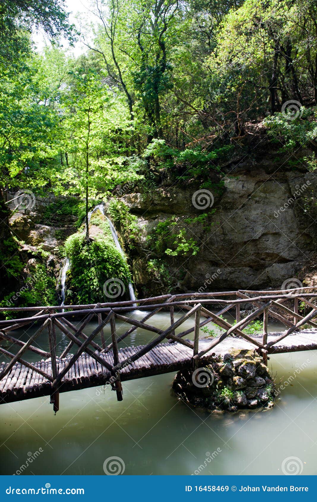 Valley of the Butterflies, Rhodes, Greece Stock Image Image of forest, greece 16458469