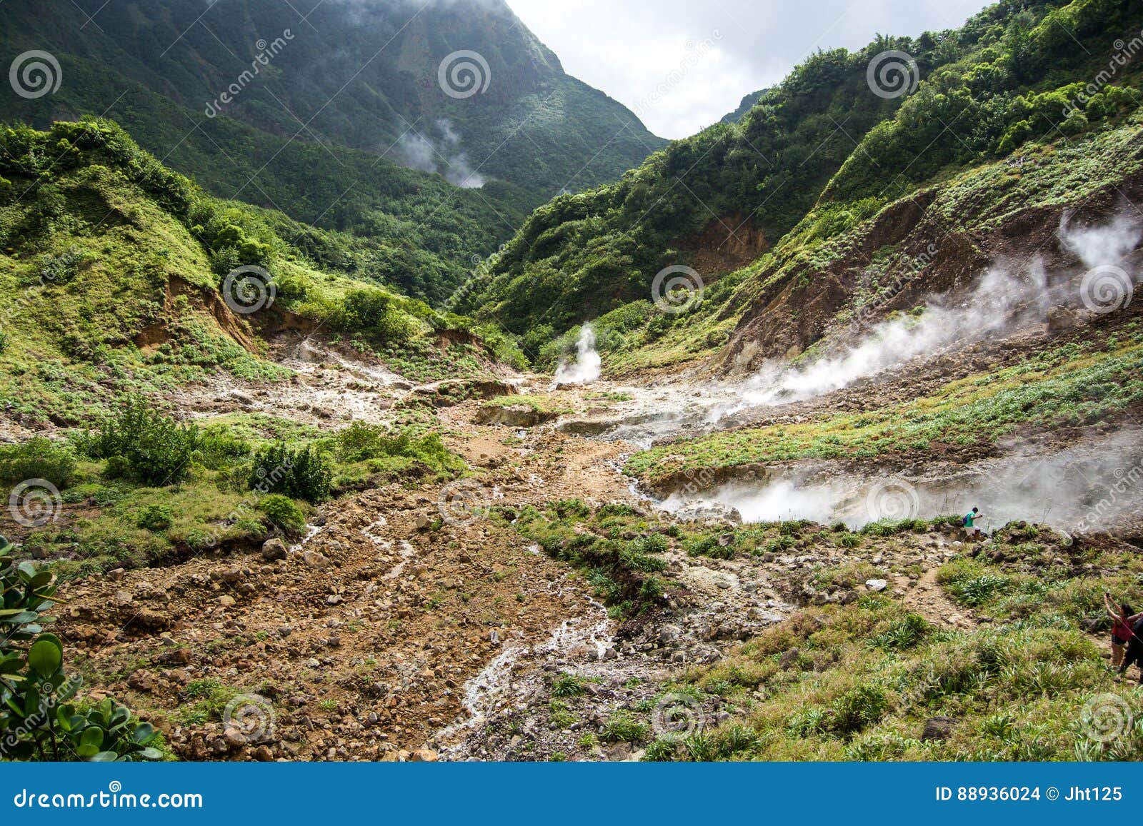 Valley Of Desolation In Dominica Editorial Stock Image Image Of Desolation Island 88936024