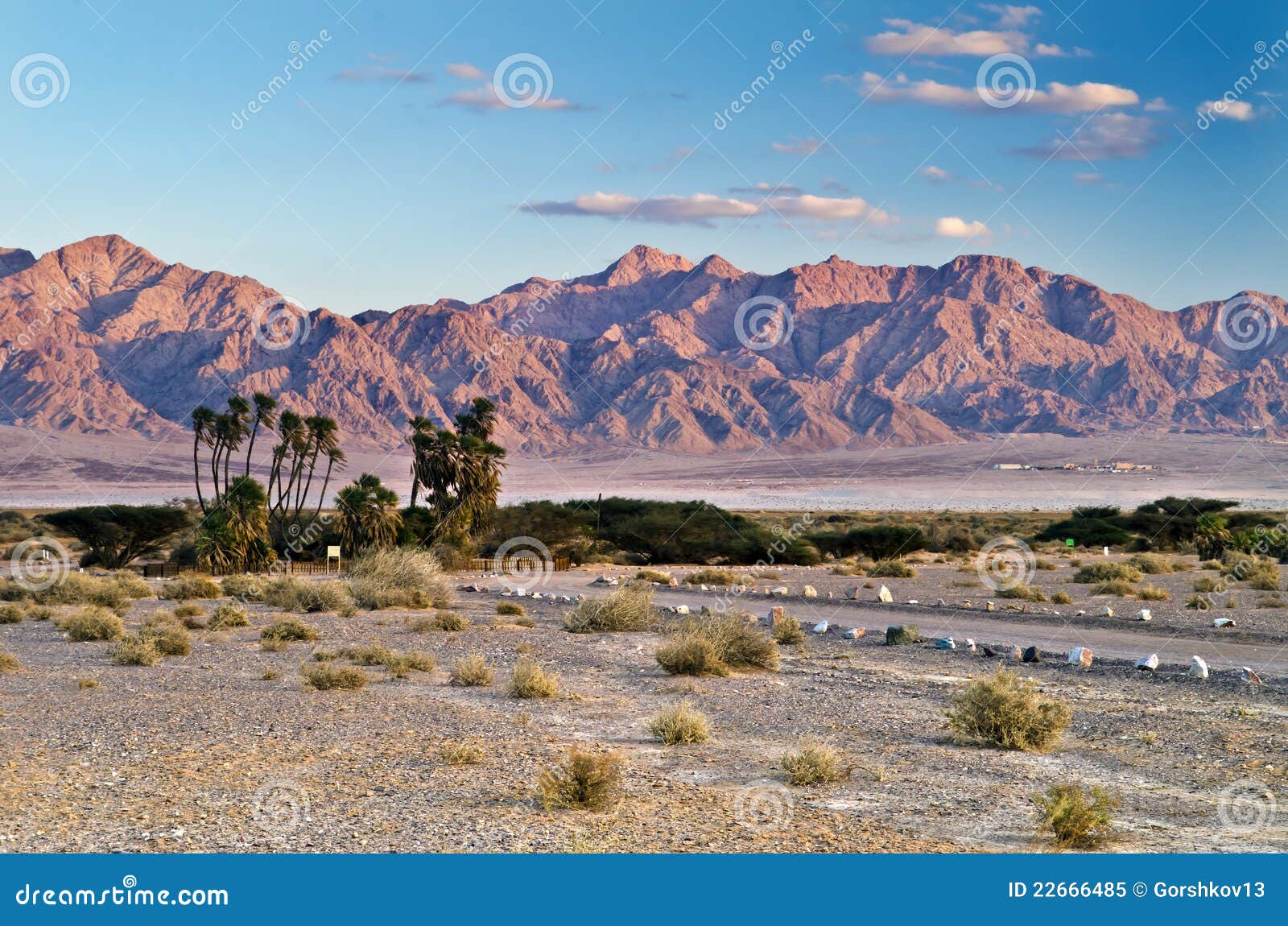 of Nature Eilat, Israel Image - Image of excursion, mountain: 22666485