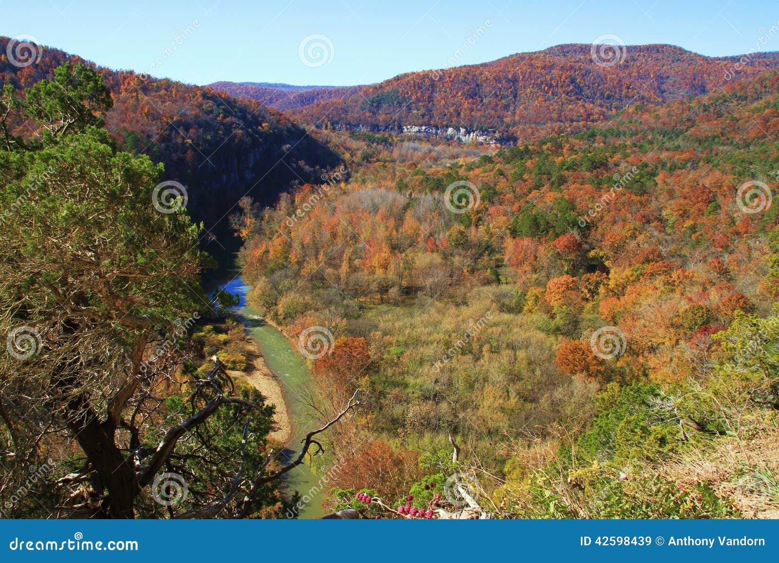 Valley of Fall Colors stock image. Image of cliffside 42598439
