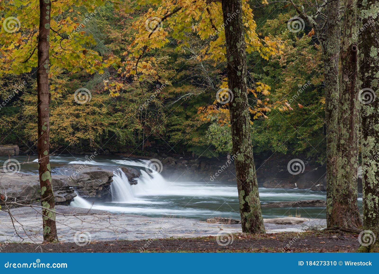 Valley Falls on the Tygart Valley River Surrounded by Greenery at