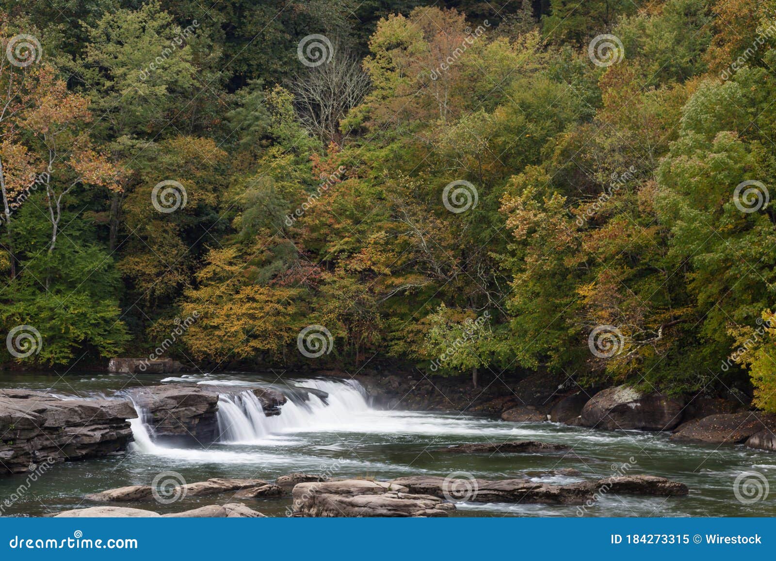 Valley Falls on the Tygart Valley River Surrounded by Greenery at Daylight in West Virginia