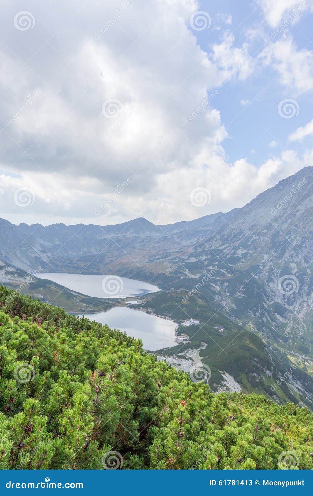 Valley of Five Polish Ponds Stock Image Image of national, lake 61781413